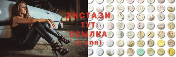 ECSTASY Богородицк
