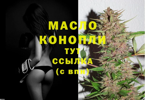 ECSTASY Богородицк