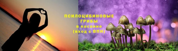 мескалин Богданович