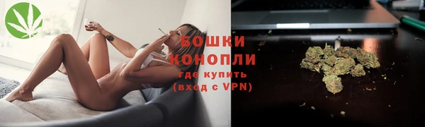 мдпв Снежногорск