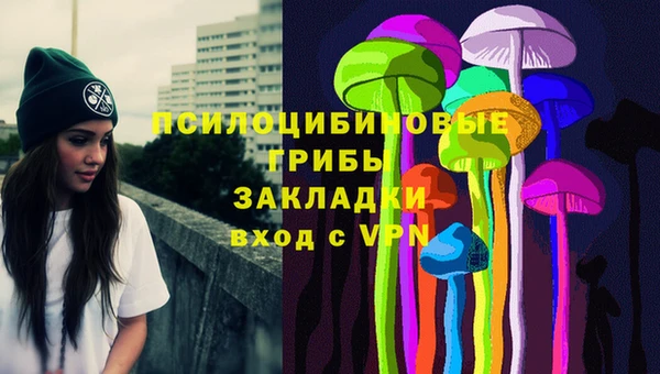 мдпв Снежногорск