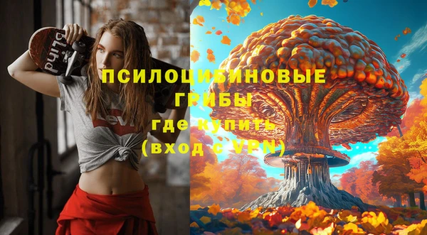 ECSTASY Богородицк