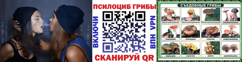 Галлюциногенные грибы прущие грибы  Михайловка 